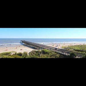 Meet your Posher, Cassidy